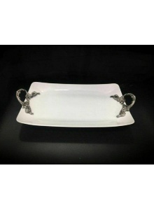 دیس دسته پیوتر فیوچر