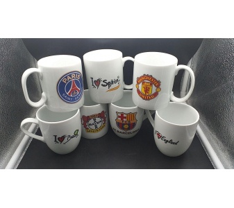 ماگ یک رو چاپ نسترن (طرح جغد جدید)